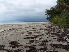 047 Port Douglas